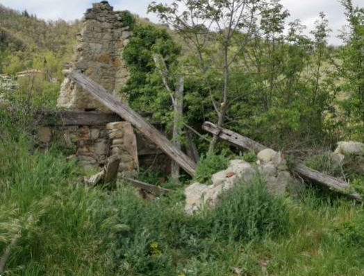 immagine annuncio 6 di 13