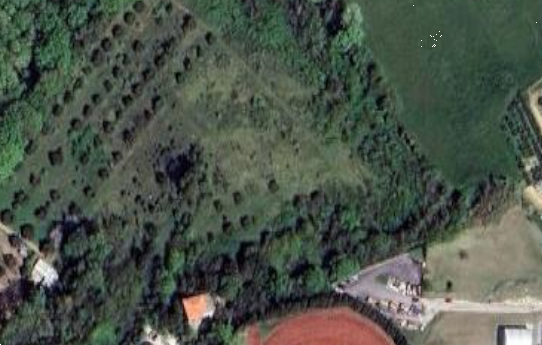 immagine annuncio 6 di 13