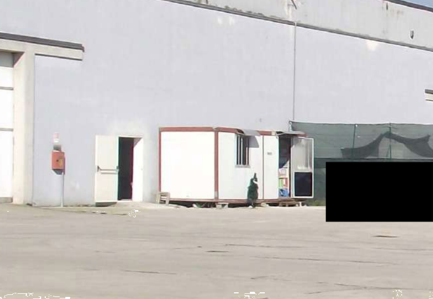 immagine annuncio 3 di 13