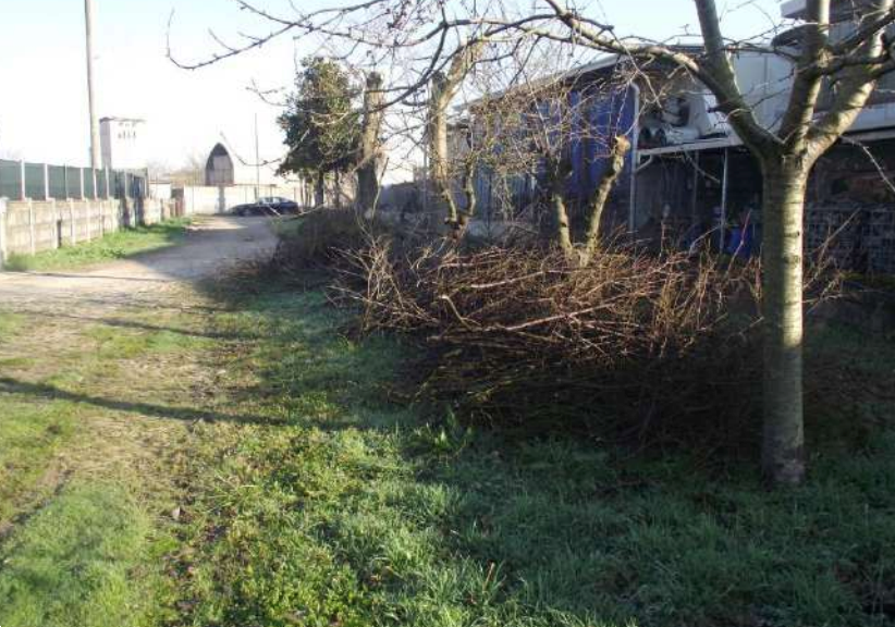 immagine annuncio 12 di 13