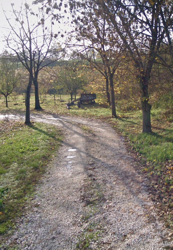 immagine annuncio 12 di 13