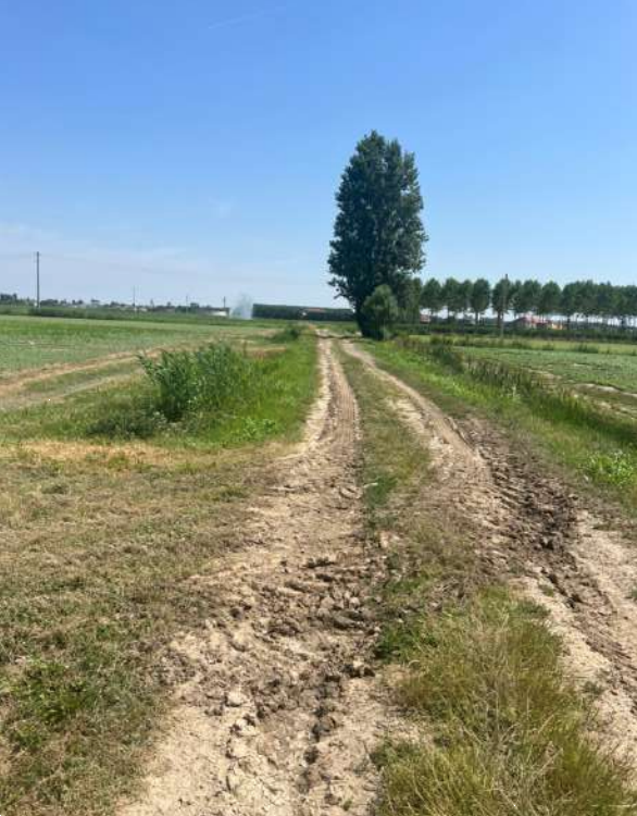 immagine annuncio 2 di 13