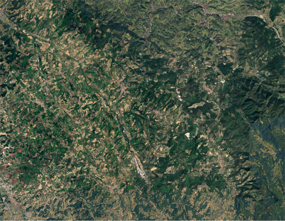 immagine annuncio 4 di 13