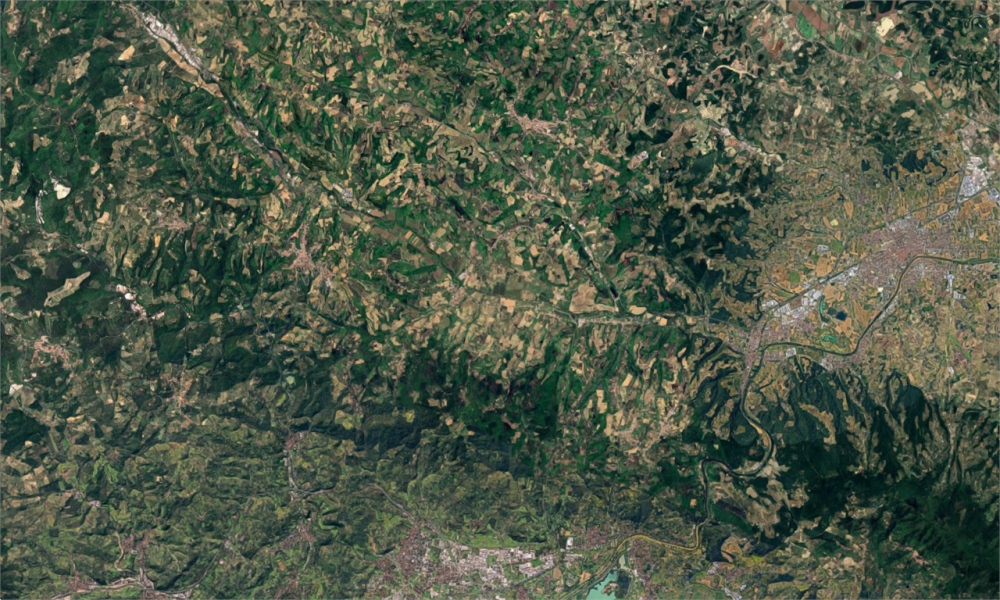 immagine annuncio 9 di 13