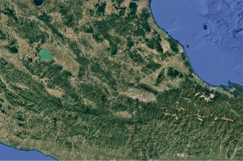 immagine annuncio 11 di 13