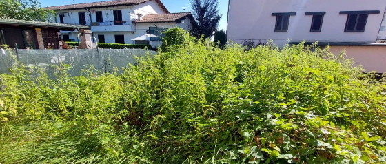 immagine annuncio 11 di 13