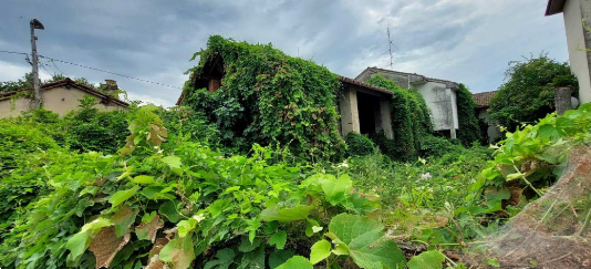 immagine annuncio 8 di 13