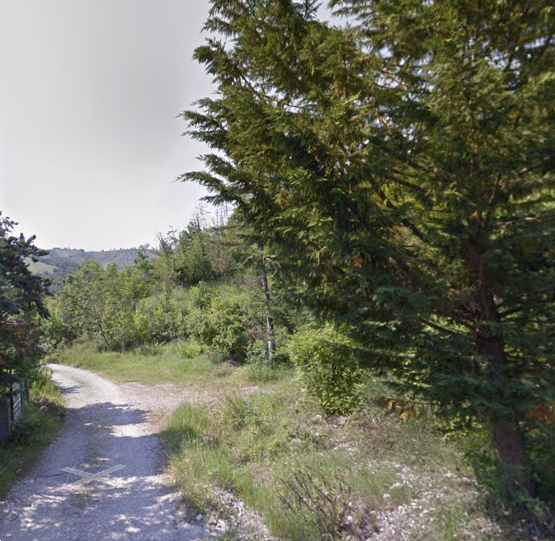 immagine annuncio 11 di 13