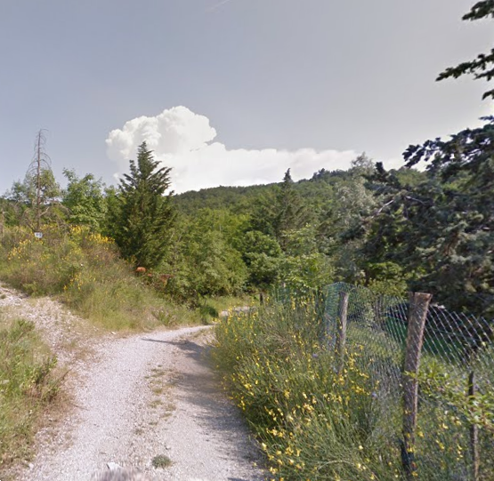 immagine annuncio 12 di 13