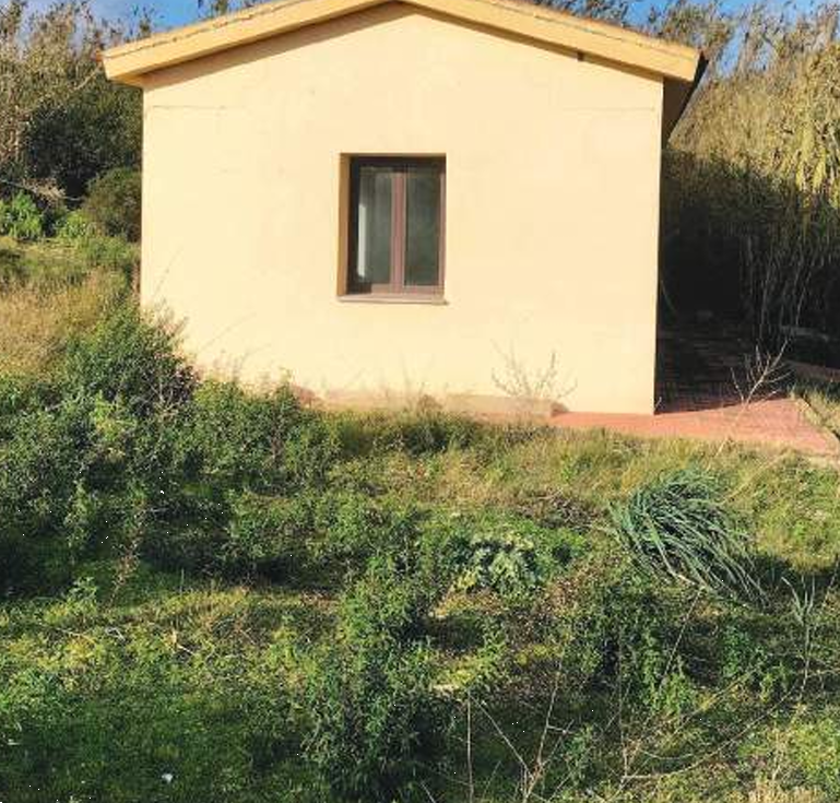 immagine annuncio 6 di 13