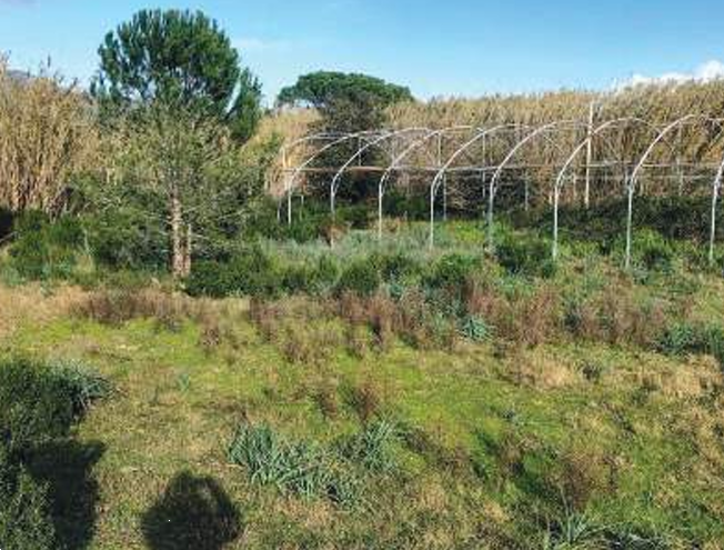 immagine annuncio 1 di 13