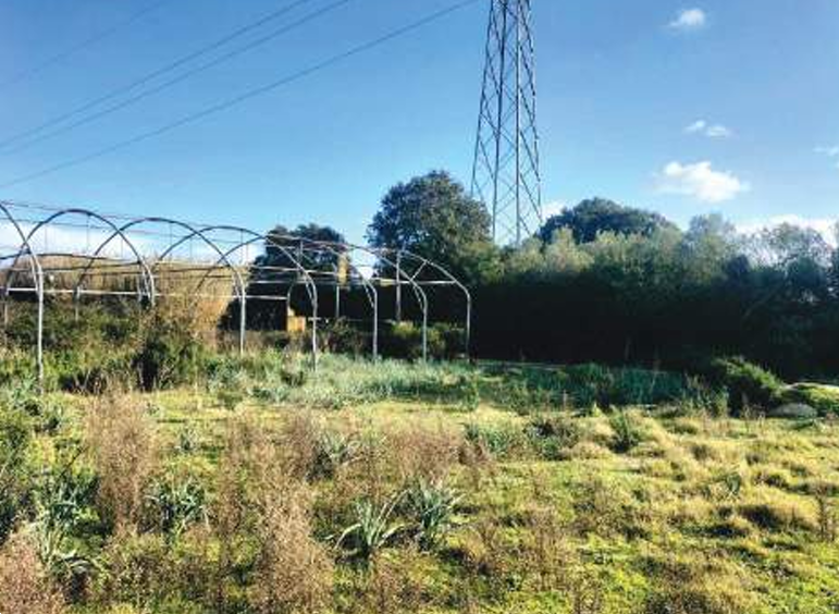 immagine annuncio 12 di 13