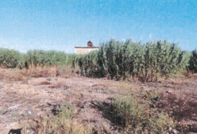 immagine annuncio 3 di 13