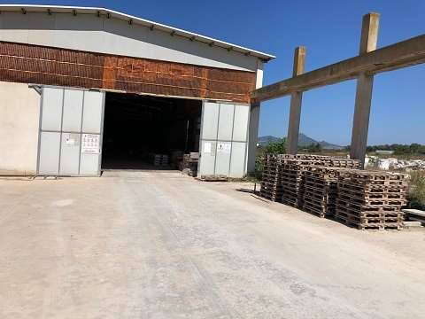 immagine annuncio 3 di 11