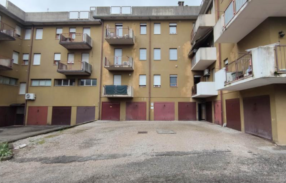 immagine annuncio 1 di 13