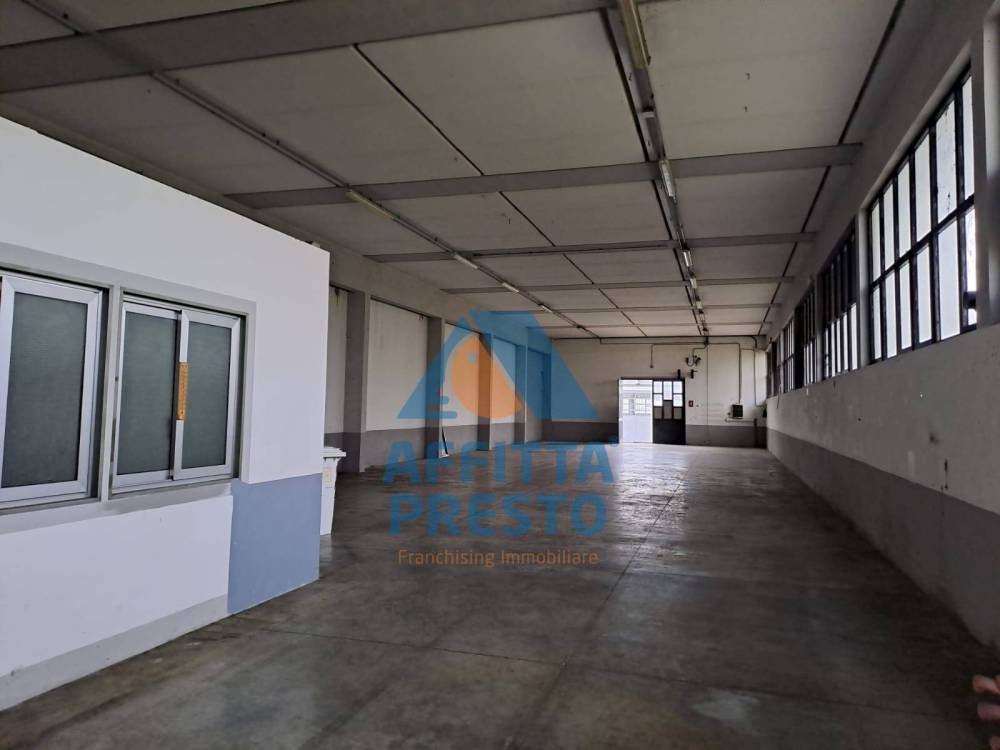 immagine annuncio 6 di 13