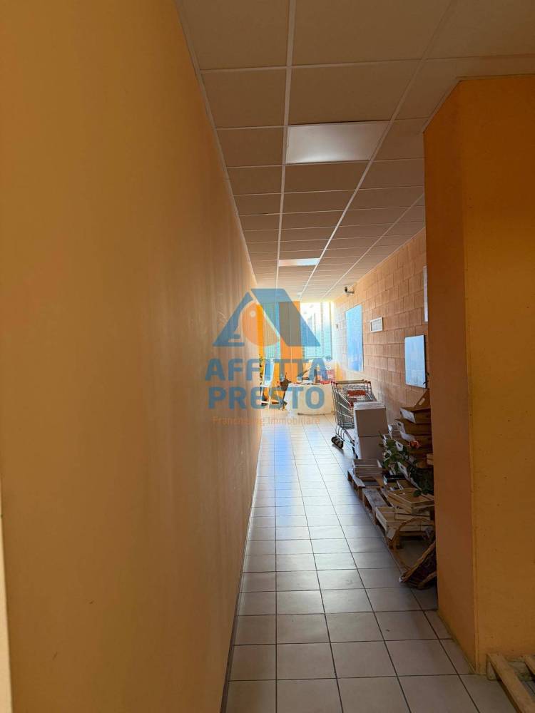 immagine annuncio 2 di 7