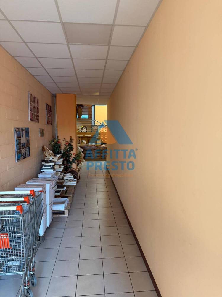 immagine annuncio 4 di 7