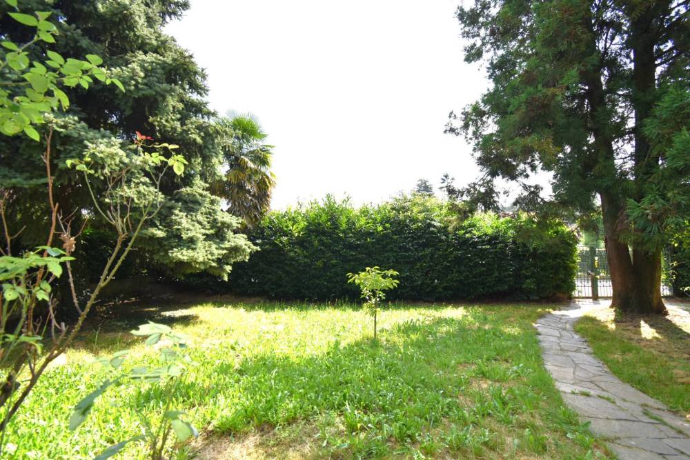 immagine annuncio 4 di 13