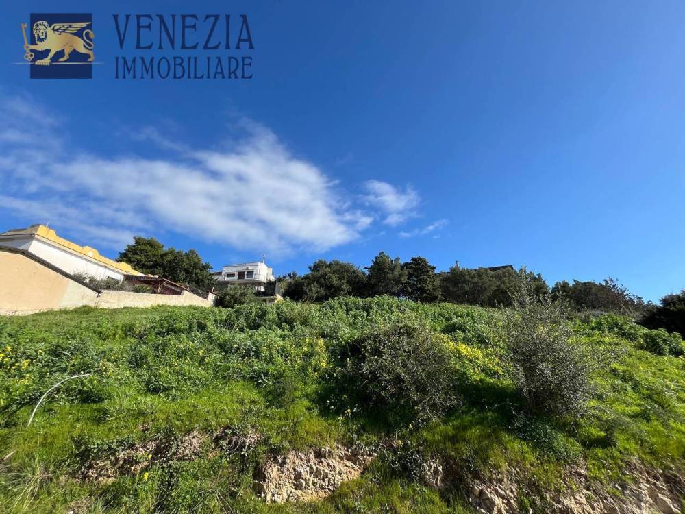 immagine annuncio 6 di 9