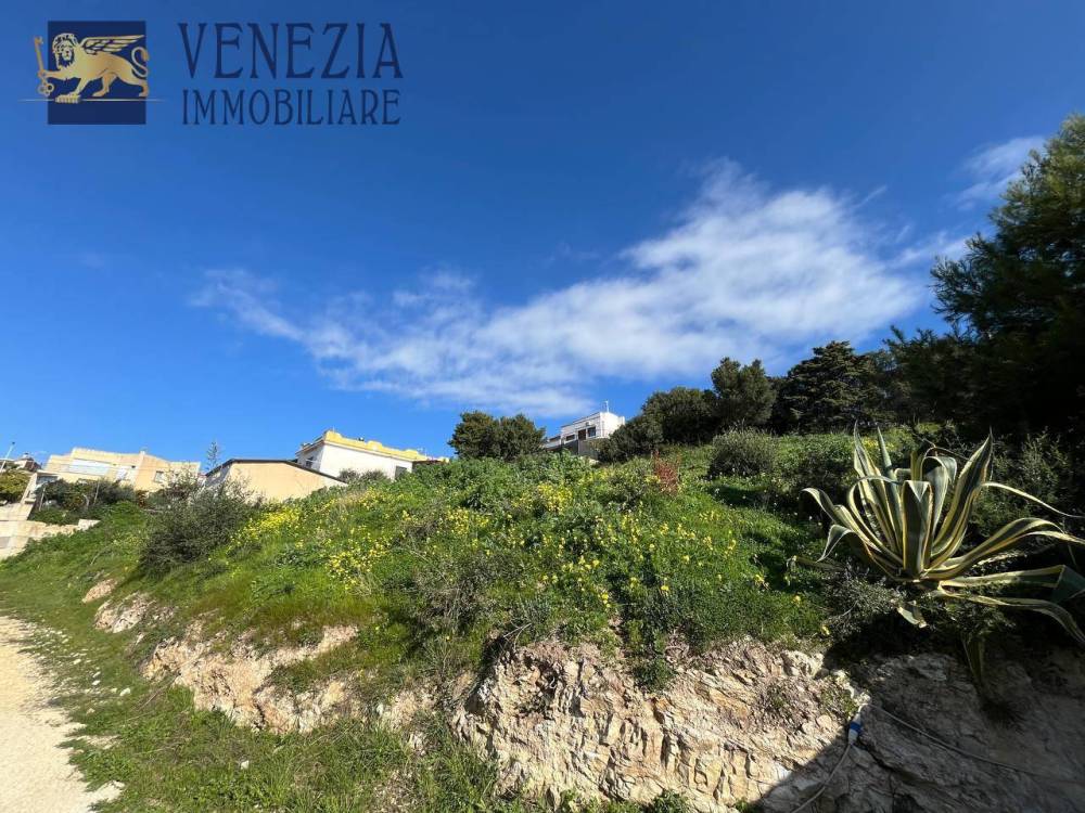 immagine annuncio 7 di 9