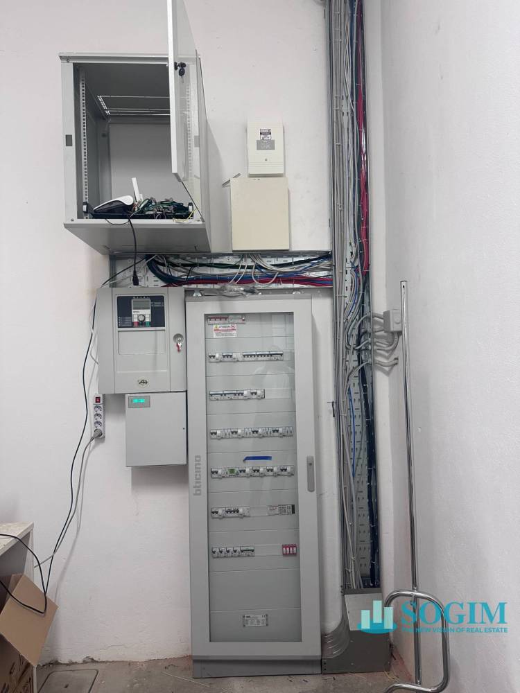 immagine annuncio 12 di 13