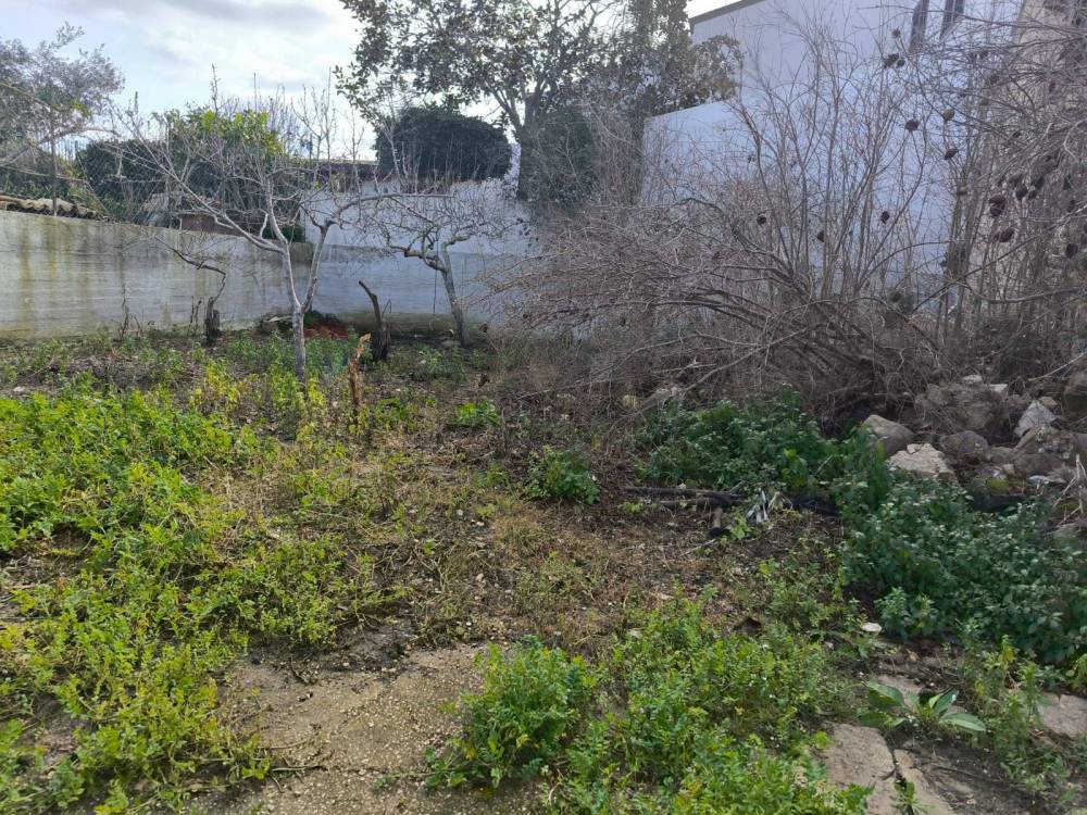 immagine annuncio 4 di 9