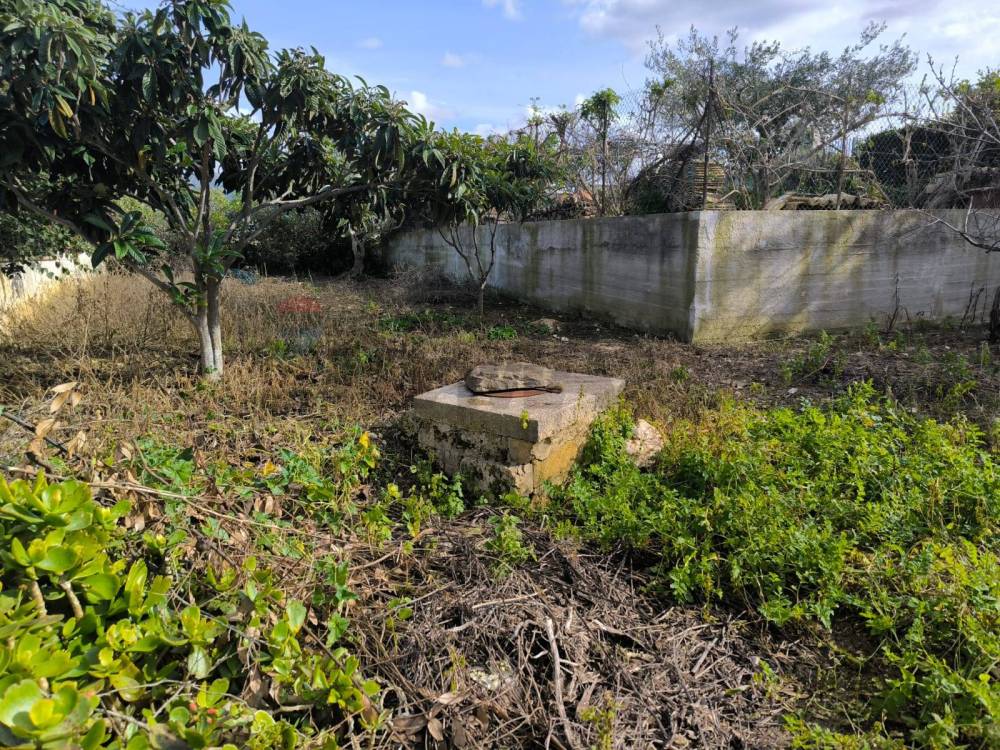 immagine annuncio 6 di 9