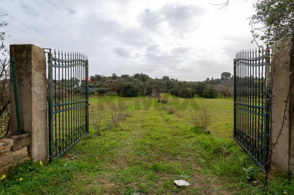 casa indipendente in vendita a Grammichele