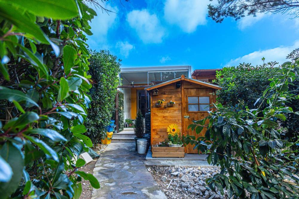 immagine annuncio 1 di 13