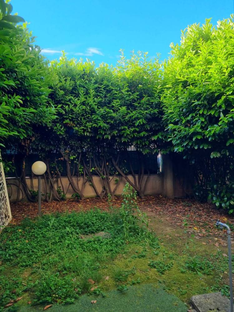 immagine annuncio 11 di 12