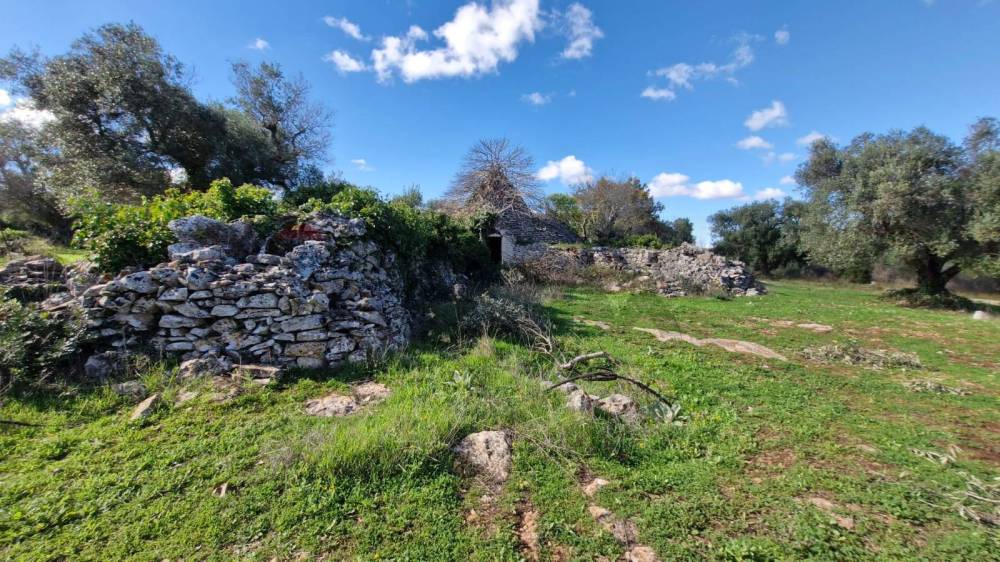 immagine annuncio 7 di 9