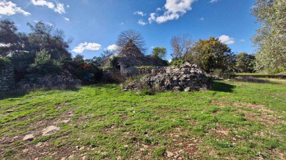 immagine annuncio 6 di 9