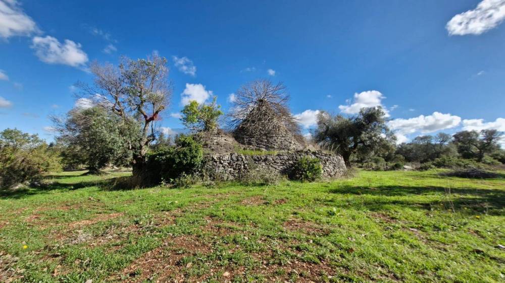 immagine annuncio 8 di 9