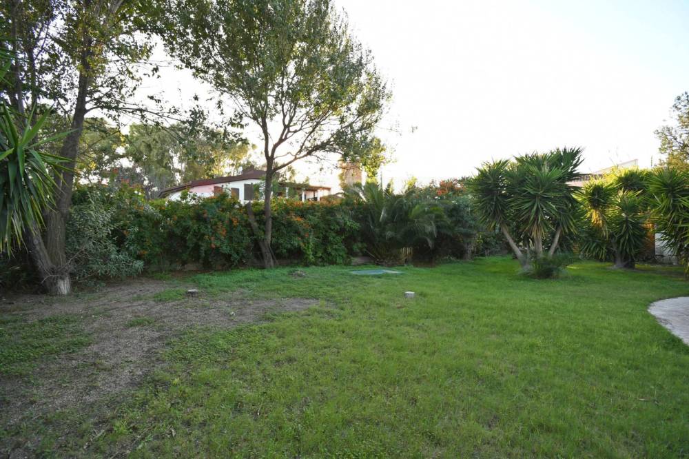 immagine annuncio 10 di 13