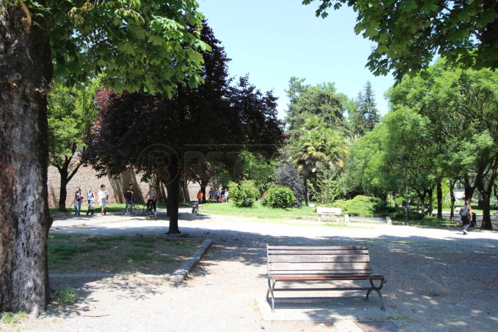 immagine annuncio 10 di 13