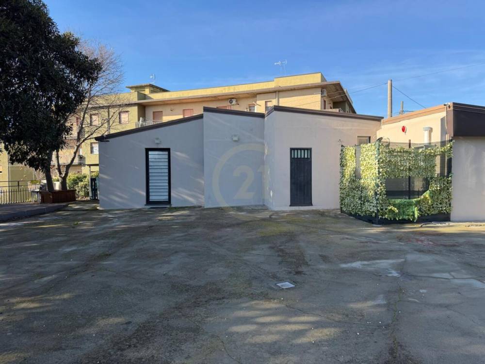 immagine annuncio 6 di 13