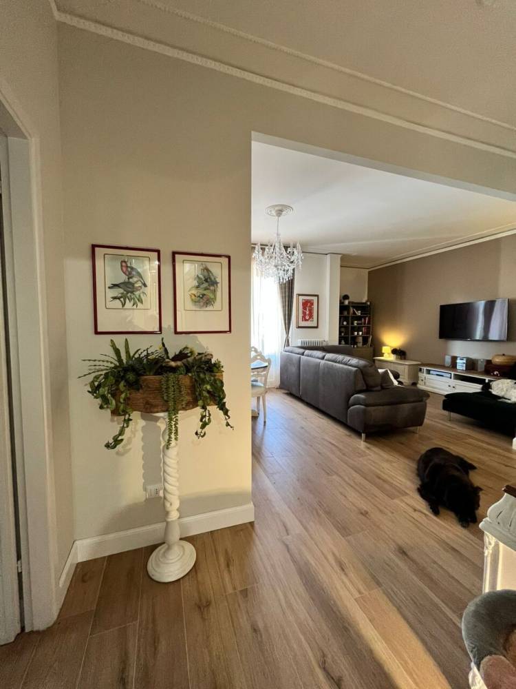 immagine annuncio 5 di 12