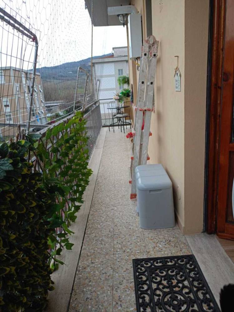 immagine annuncio 11 di 12