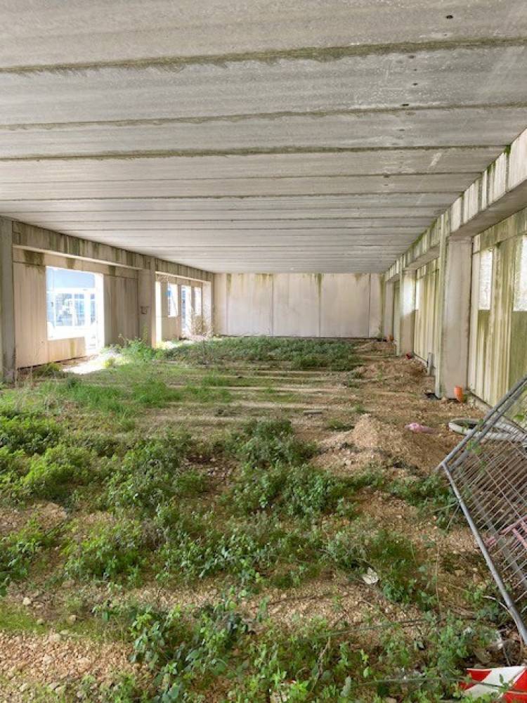 immagine annuncio 7 di 9