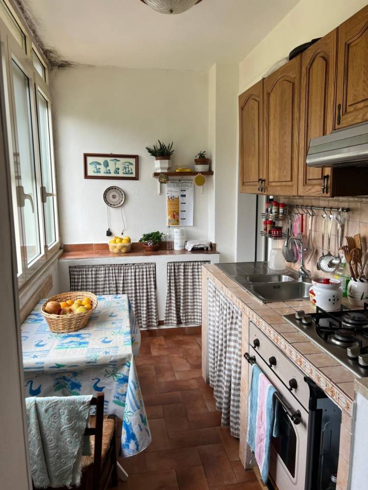 immagine annuncio 1 di 13