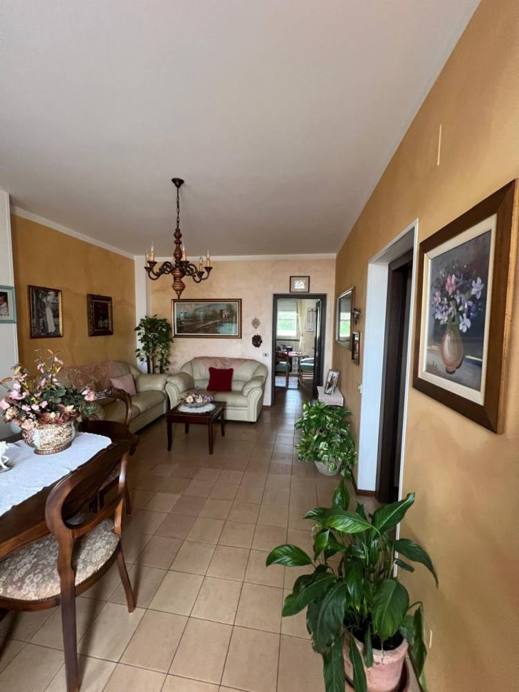 immagine annuncio 10 di 13