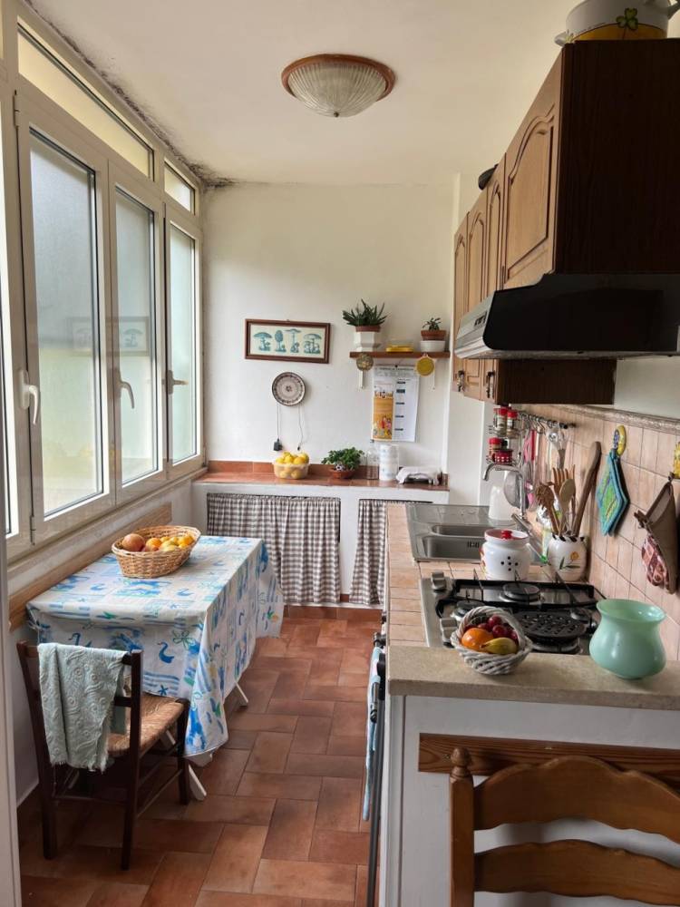 immagine annuncio 2 di 13