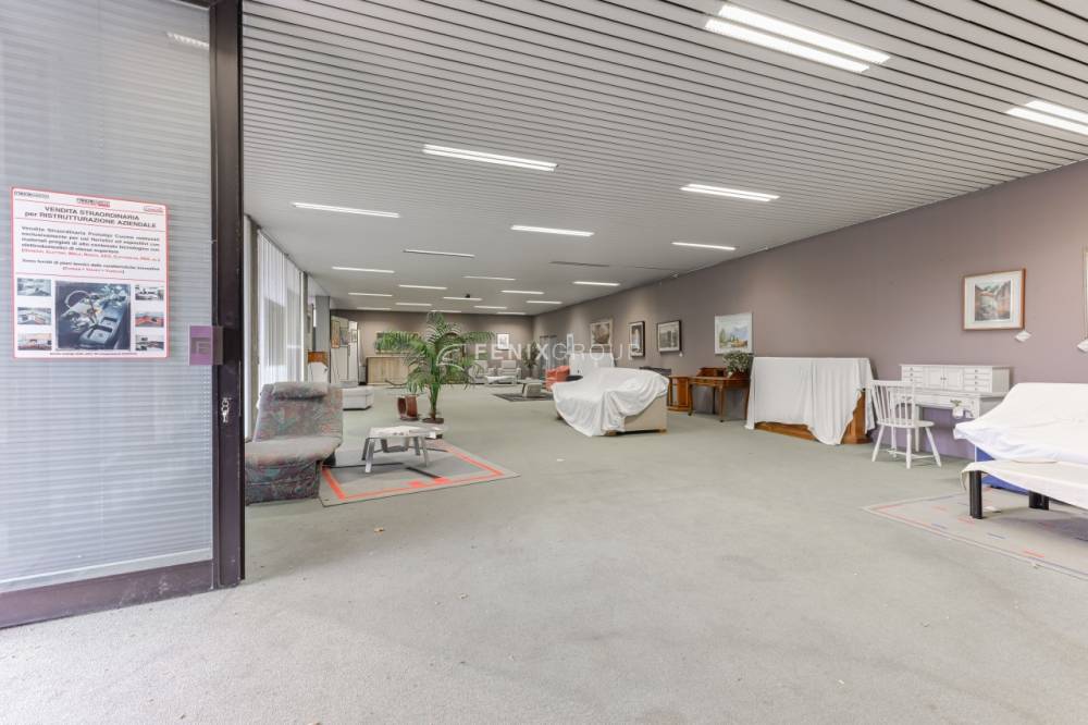 immagine annuncio 4 di 13