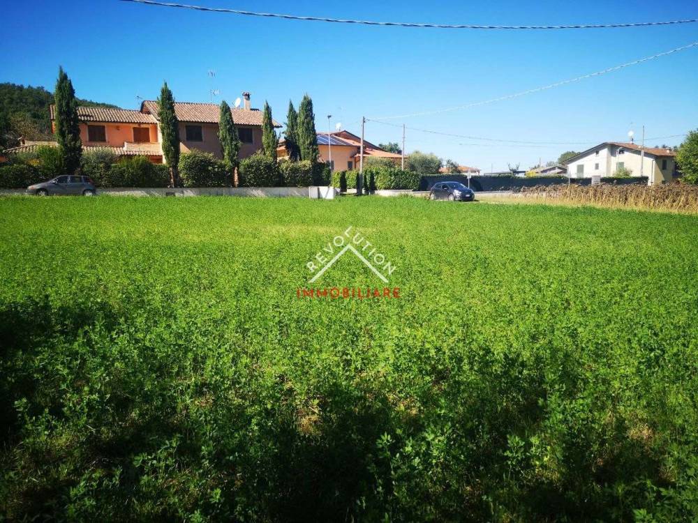 immagine annuncio 11 di 13