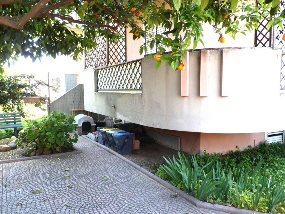 immagine annuncio 9 di 13