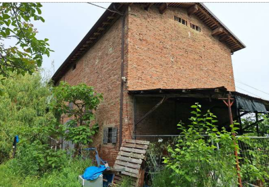 immagine annuncio 2 di 13