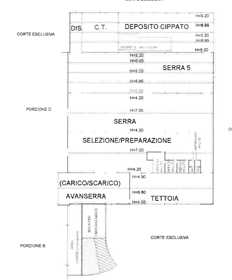 immagine annuncio 2 di 13