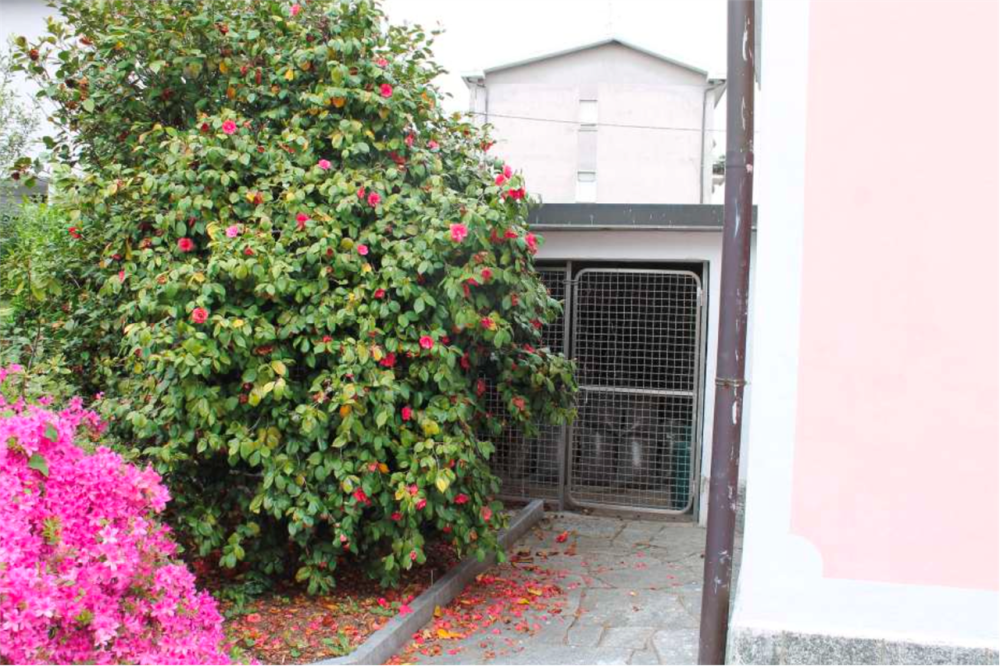 immagine annuncio 8 di 13