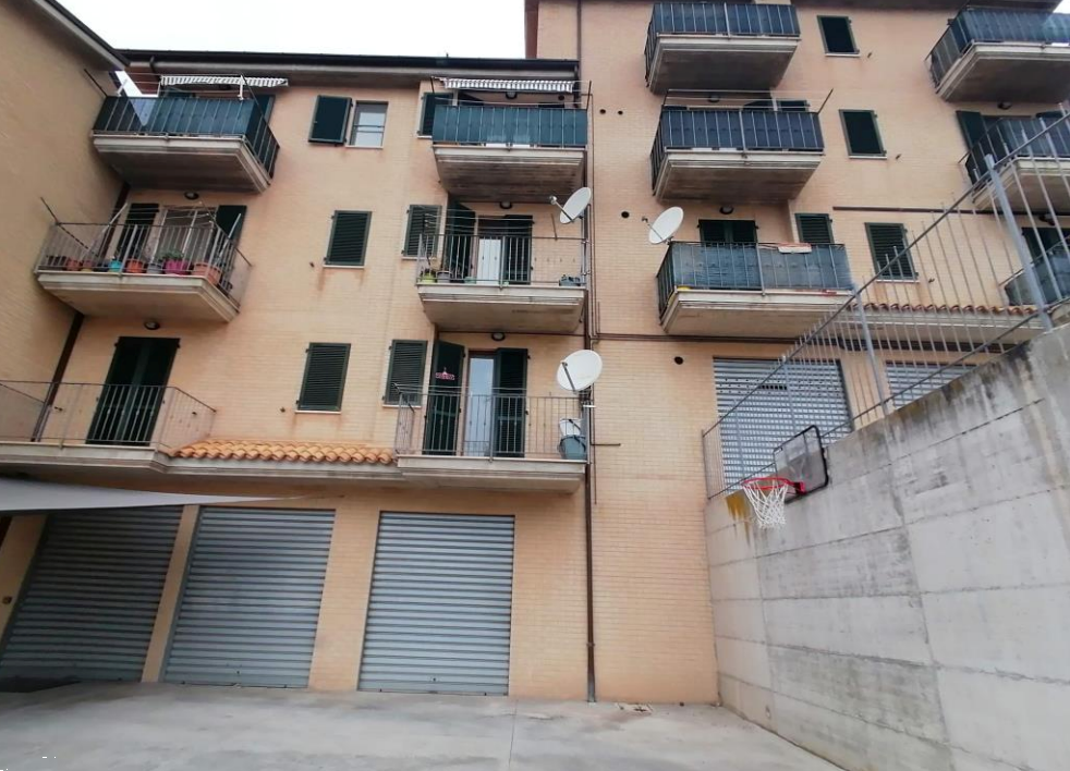 immagine annuncio 3 di 13